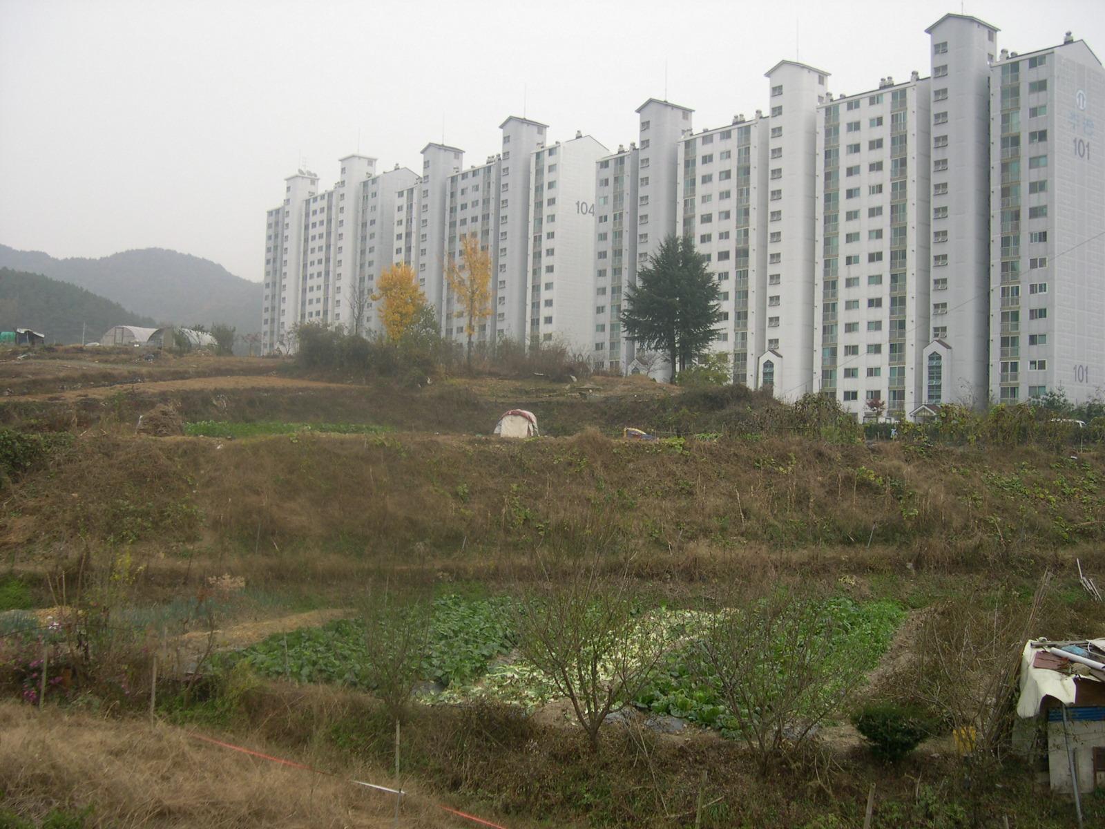 교회부지